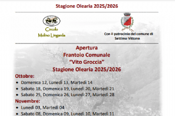 Apertura Frantoio Comunale &quot;Vito Groccia&quot; - stagione olearia 2025-2026
